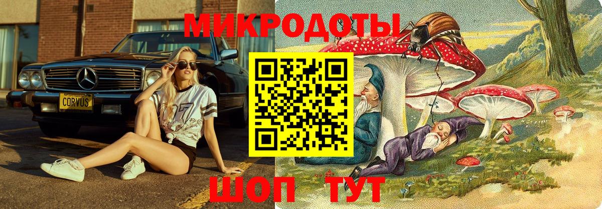 Псилоцибиновые грибы Cubensis  Псилоцибиновые грибы Psilocybine cubensis  Когалым  Вход с VPN 
