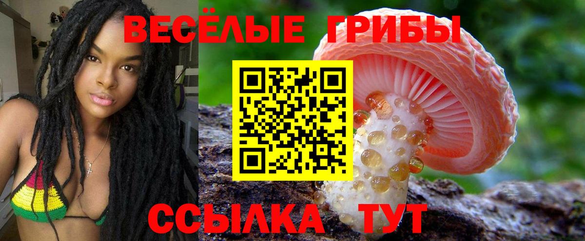 Галлюциногенные грибы Cubensis Когалым